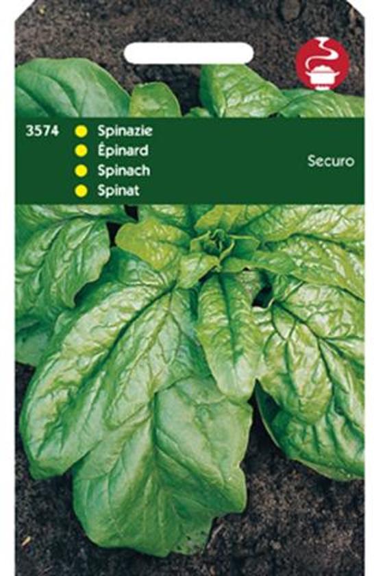 Spinazie Securo (Spinacia oleracea) 3500 zaden HT